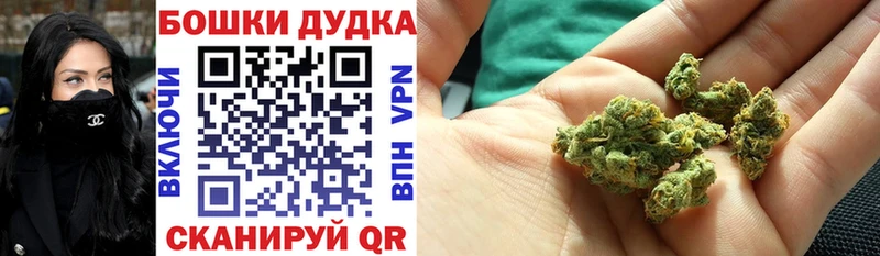 Канабис OG Kush Афипский